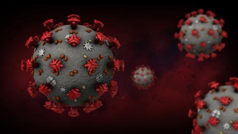 Artistic enlargement of COVID-19 virus