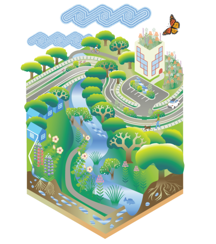 Illustration of green infrastructure in place