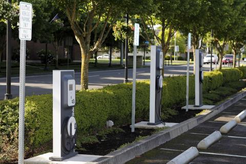 A collection of EV charging stations in a green area