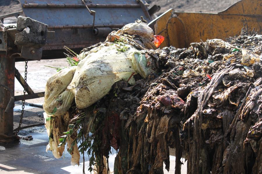 Organic sludge being loaded by wheel loader into processing machine